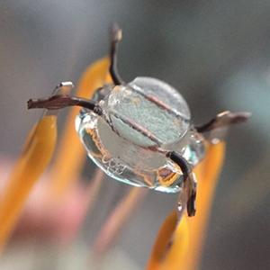 ไส้หลอดไฟ LED VINTAGE